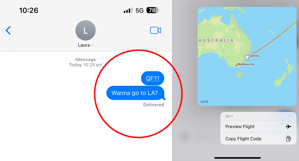 A screen shot of the travel hack on iPhone iMessages showing a flight's status.