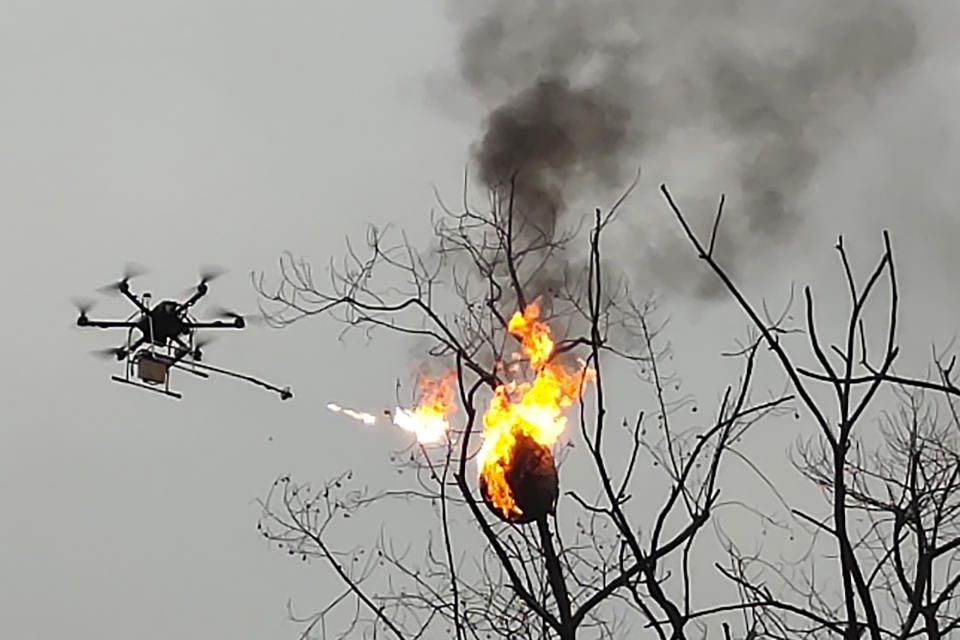 In this Dec. 10, 2020, photo released by Blue Sky Rescue of Zhong County, a drone equipped with a flamethrower burns a wasp nest at a village in Zhong county near Chongqing municipality in southwestern China. A drone has been converted into the flying flamethrower in central China in a fiery campaign to eradicate more than 100 wasp nests. (Blue Sky Rescue of Zhong County via AP)