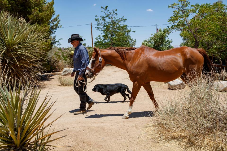 Jeff Eamer, a psychotherapist, offers meditative walks through the desert with Freckles, a rescue horse he sponsors, and his dog, Koda, in Yucca Valley, Calif., on June 29, 2022.