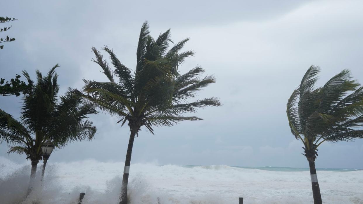 Ein so starker Atlantik-Hurrikan war nie zuvor so früh im Jahr aufgezeichnet worden. (Bild: dpa)