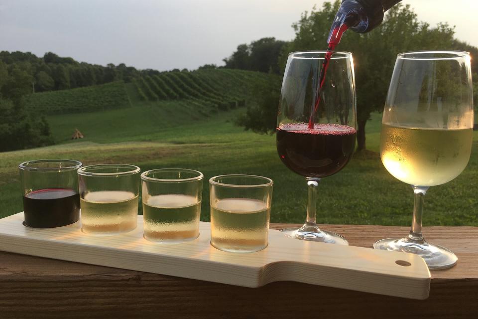 Glasses of white and red wine from Le Petit Chevalier Vineyards