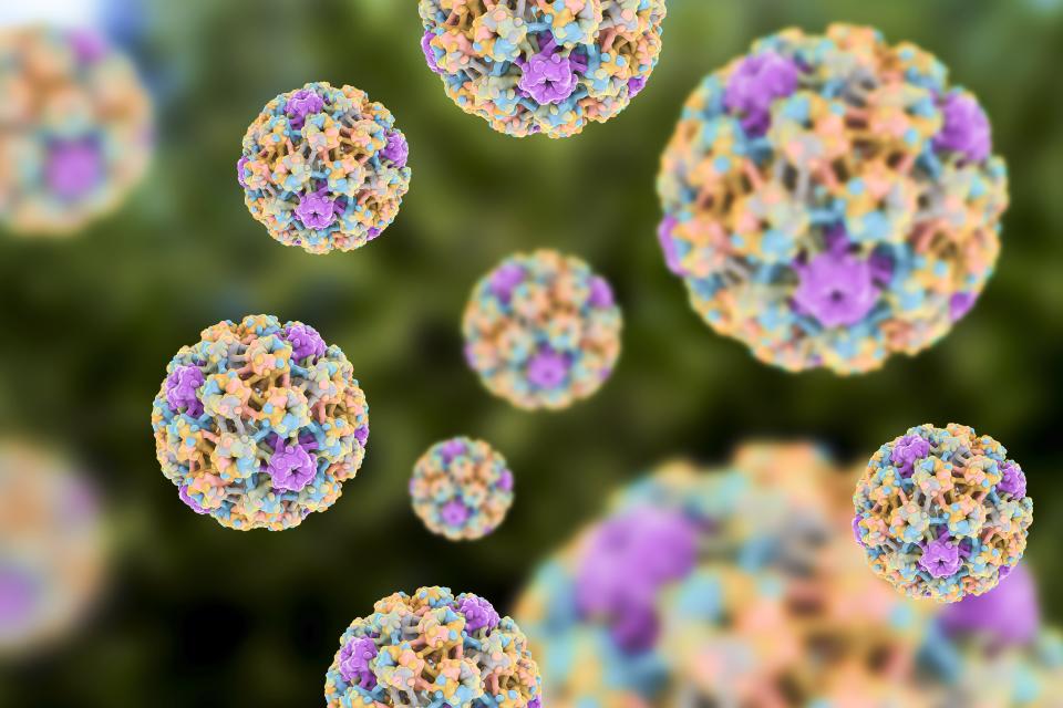 Human papilloma virus (HPV) is one of the most common sexually transmitted infections  in Canada. (Getty Images)