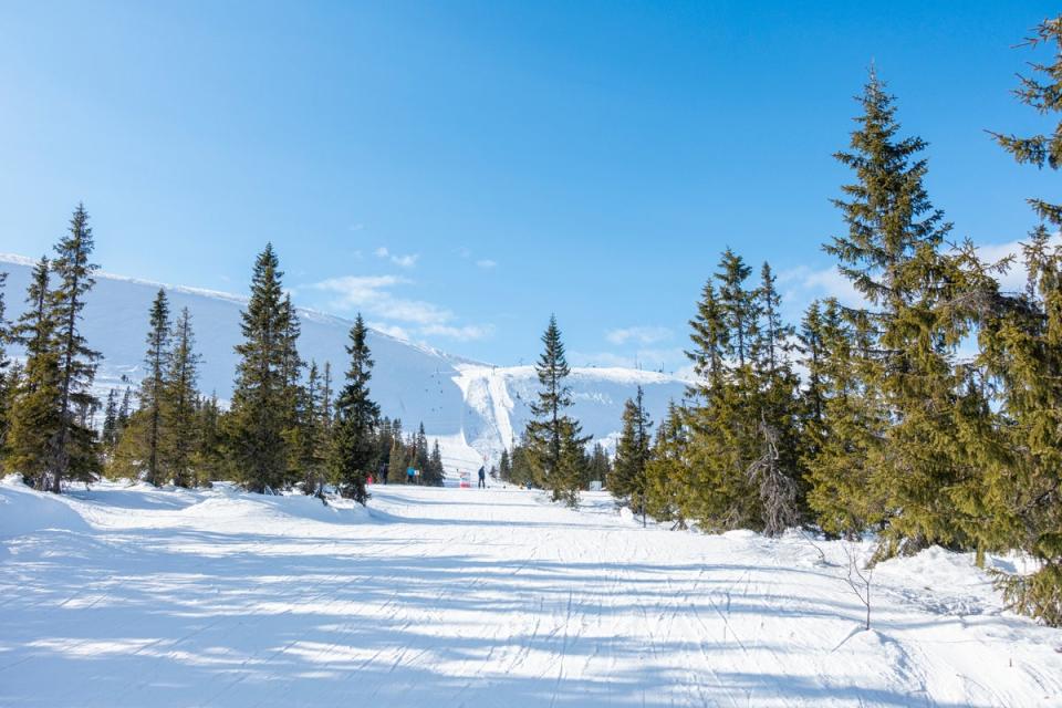 Slide the slopes with likeminded solo skiers in eastern Norway (Getty Images/iStockphoto)