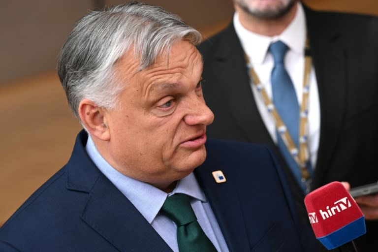 Ungarns Regierungschef Viktor Orban hat scharfe Kritik an der vorläufigen Einigung auf die Verteilung der EU-Spitzenposten geäußert. Er nannte dies eine "Schande". (JOHN THYS)