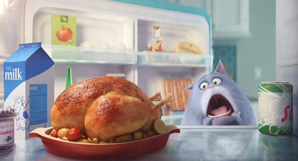 Chloe the cat (voiced by Lake Bell) yearns to have a morsel of turkey in 'The Secret Life of Pets.'