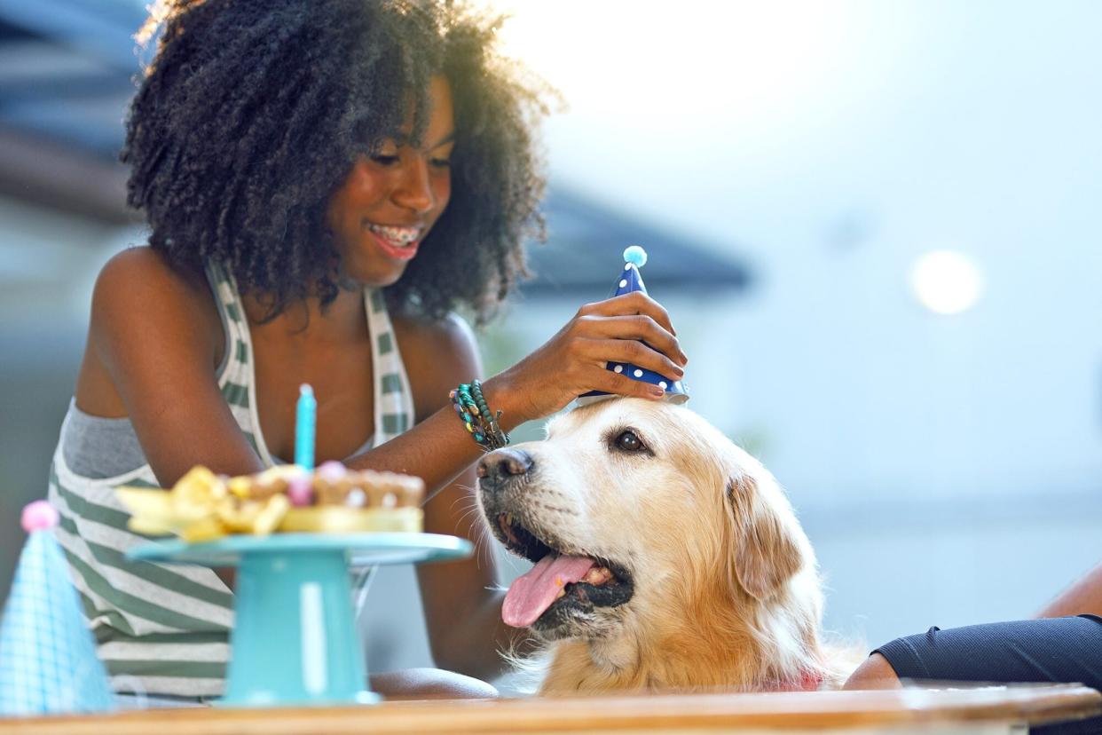 girl putting party hat on dog; dog gotcha day