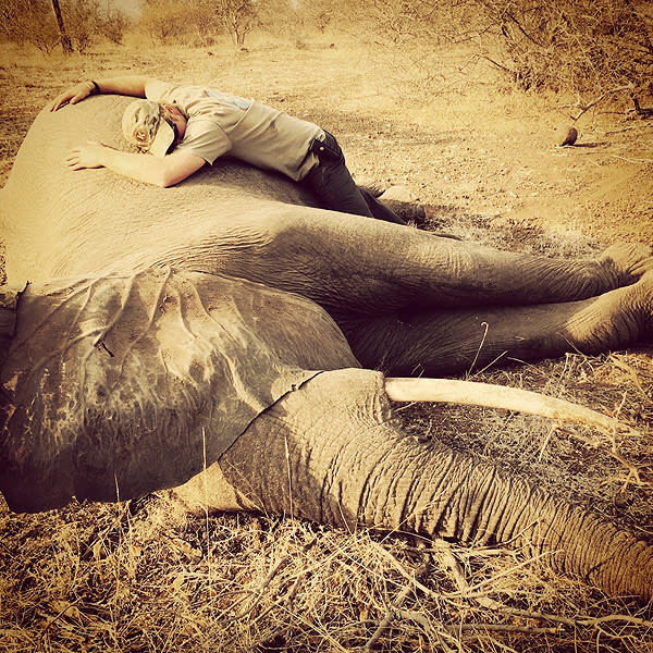 Prince Harry to the Rescue! Former Pilot Flies in Helicopter to Help Save Elephants in Africa| The British Royals, The Royals, Prince Harry