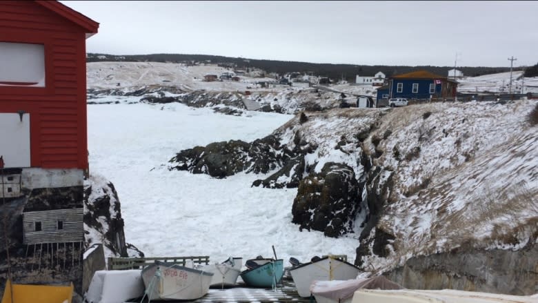 Stay off the ice: Sister of Pouch Cove drowning victim urges people to be cautious