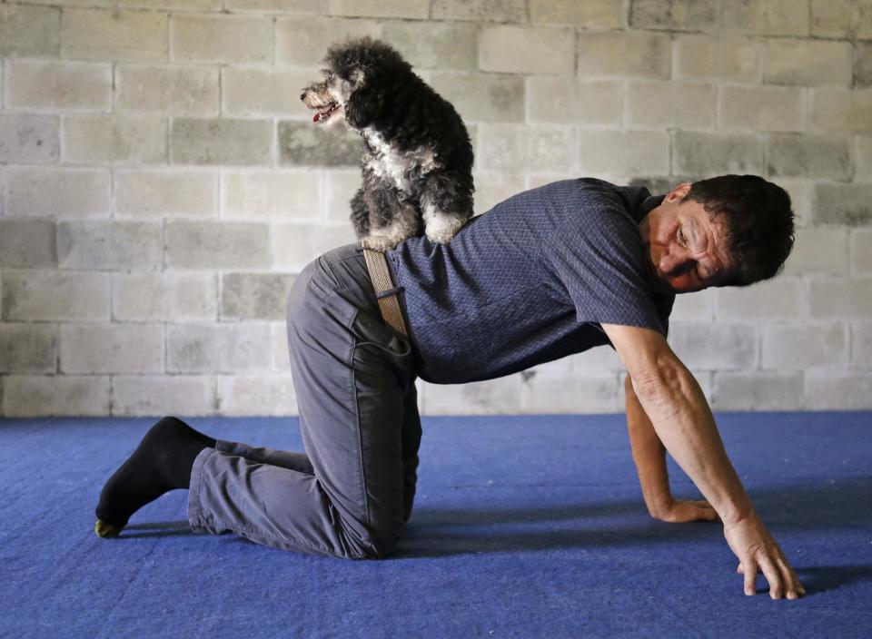 *HOLD FOR STORY BY SUE MANNING* In this Tuesday, April 22, 2014 photo Richard Olate works on a trick with one of his performing dogs Loca in Sorrento, Fla. The Olates spend more than 11 months a year on the road performing and are starring in a series of short dog rescue films that could one day be eligible for Oscar consideration. (AP Photo/John Raoux)