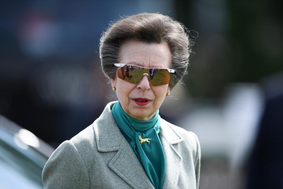 Princess Anne now (Getty Images)