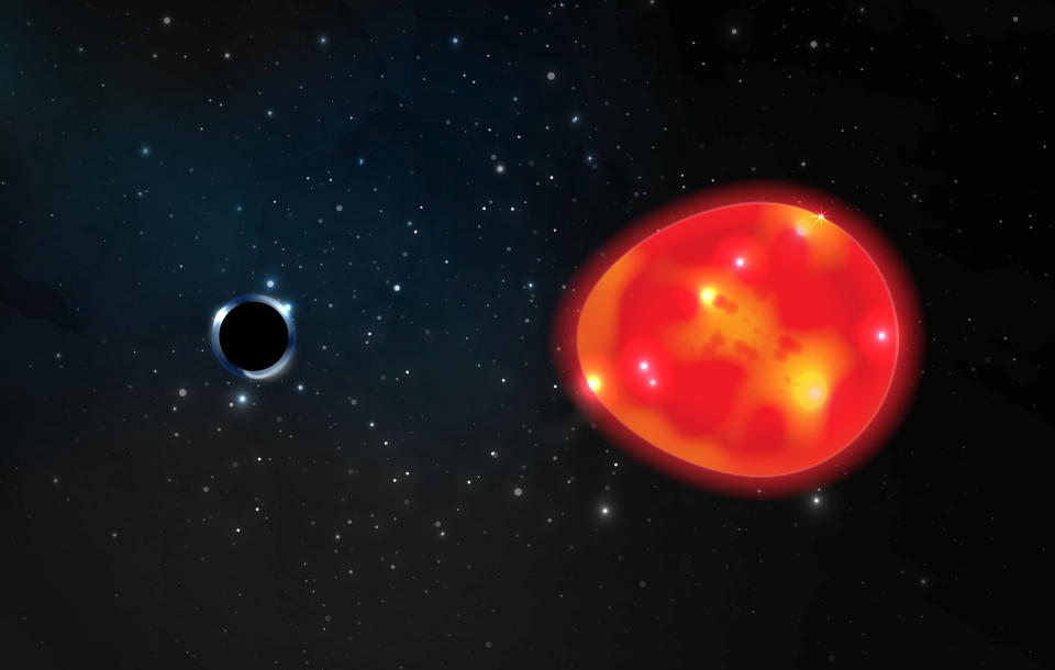 Das schwarze Loch hat eine so starke Gravitation, dass es den Roten Riesen beeinflusst. So sind Forschende der Ohio State Universität auf das 