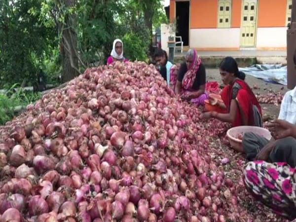 Onion prices have surged in Nashik, Maharashtra. (Photo/ANI)