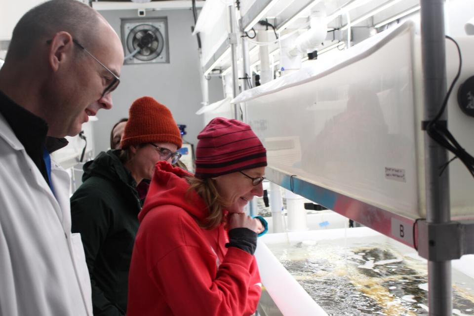 Those involved in the green gravel project inspect the algae in the mobile laboratory