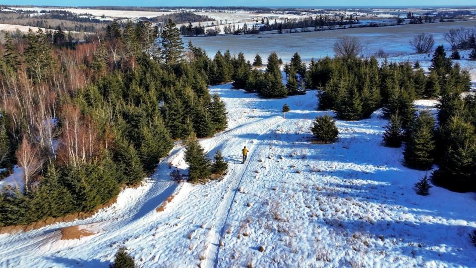 Watershed groups in the area will also be hosting their annual woodlot tour on Jan. 27 at Glasgow Hills, the first time the event has been held there.