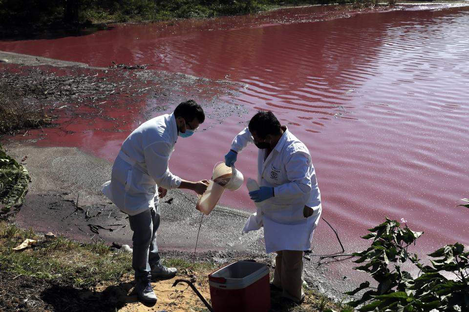 Los técnicos Marcelo Coronel, a la izquierda, y Francisco Ferreira, del Centro Multidisciplinario de Investigaciones Tecnológicas, de la Universidad Nacional de Asunción, toman muestras de agua que tiene una coloración púrpura en la laguna Cerro, en Limpio, Paraguay, el miércoles 5 de agosto de 2020. (AP Foto/Jorge Saenz)