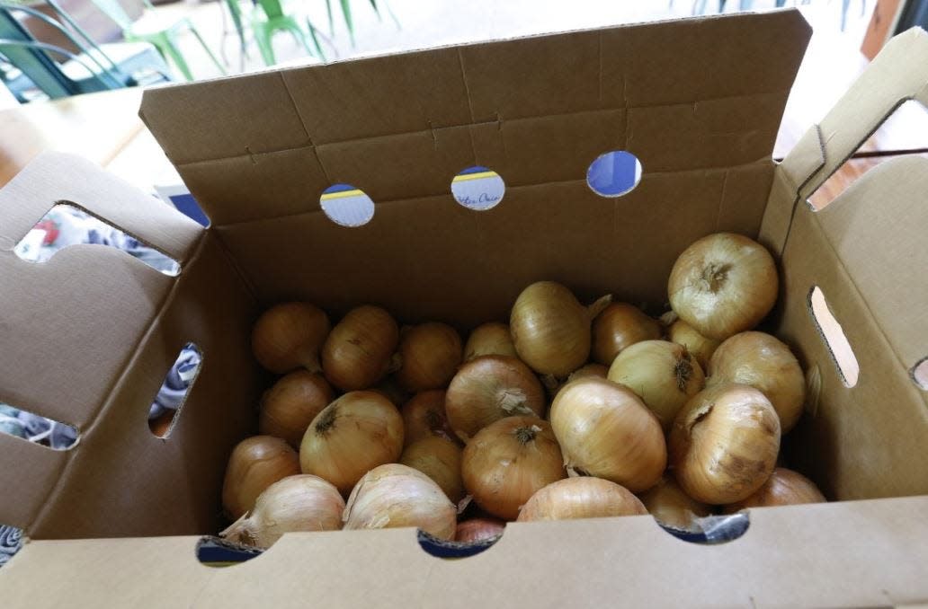 A fresh batch of Vidalia onions. The State of Georgia passed legislation in 1986 giving Vidalia onions legal status defining an area of only 20 counties that can produce and market the official Vidalia onion.