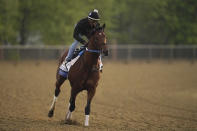 Preakness entrant Epicenter, the runner up in the Kentucky Derby, gallops during a morning workout ahead of the Preakness Stakes Horse Race at Pimlico Race Course, Thursday, May 19, 2022, in Baltimore. (AP Photo/Julio Cortez)