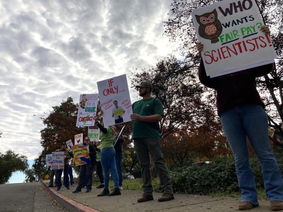 More than 30 scientists who work for the state picketed in front of the California Department of Fish and Wildlife office in Redding on Friday.