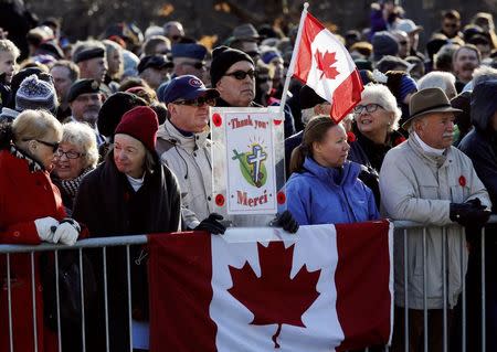 People wave flags during Remembrance Day ceremonies at the National War Memorial in Ottawa November 11, 2014. REUTERS/Chris Wattie