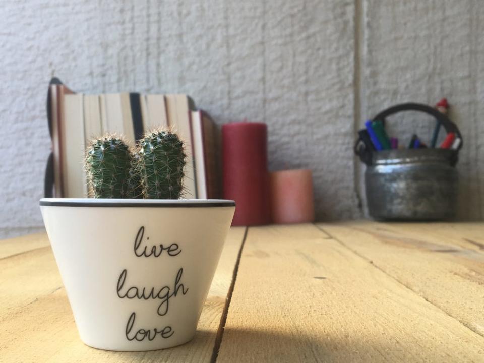 a succulent on a desk with the quote live laugh love painted on it