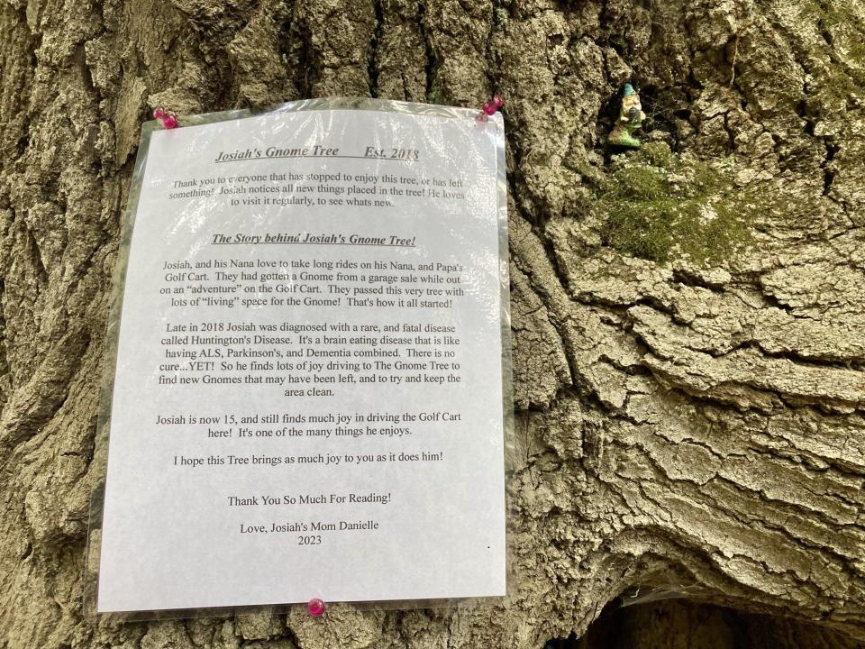 A laminated letter on Josiah's Gnome Tree explains the meaning behind the tree.
