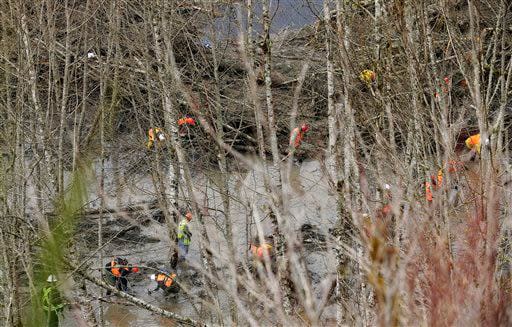 Orange-clad search workers look through a muddy area Sunday, March 30, 2014, near Darrington, Wash., at the bottom end of the massive mudslide that struck the community of Oso, Wash. (AP Photo/Ted S. Warren)