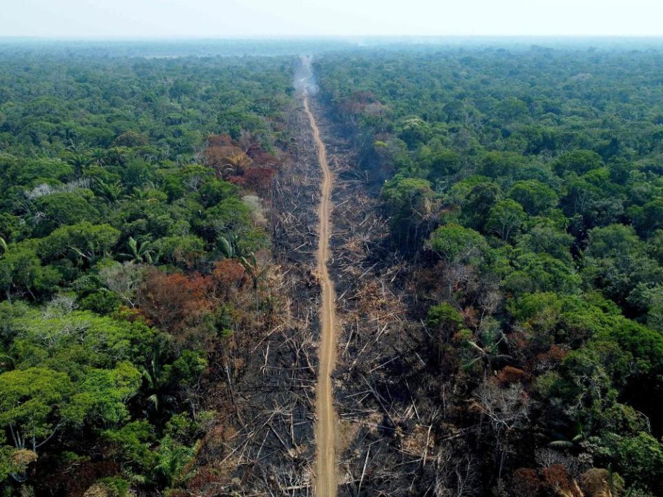 Aerial view of a deforested and burnt area of the Amazon rainforest near Humaitá in September 2022