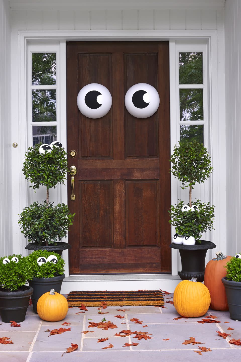 Eyeball Door Decor