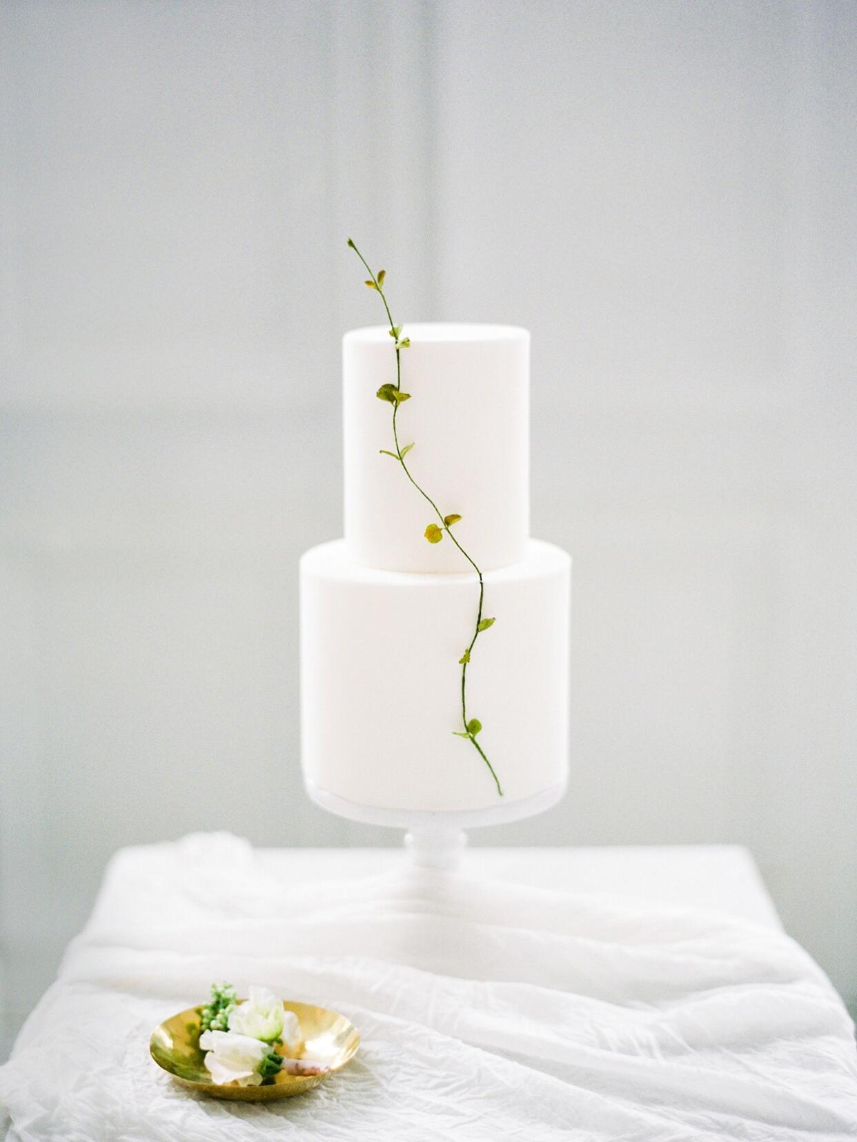 minimalist white two tier cake with small swivel sprig