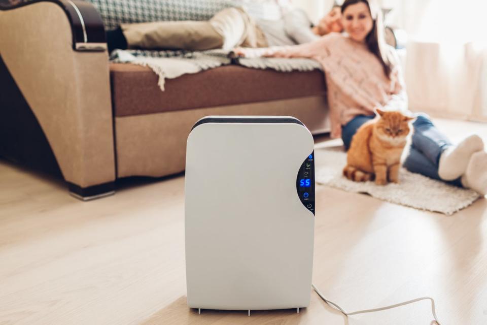 living room with dehumidifier in the foreground and woman sitting on the floor near her couch in the background with her cat