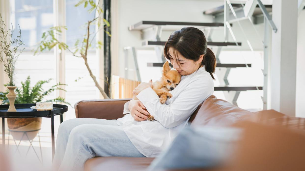 Woman holding Chihuahua