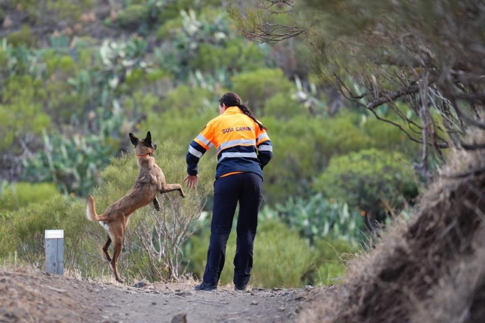 A member of the search team with a search dog, pictured on Saturday (James Manning/PA Wire)