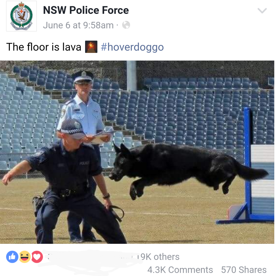 NSW Police funniest Facebook posts