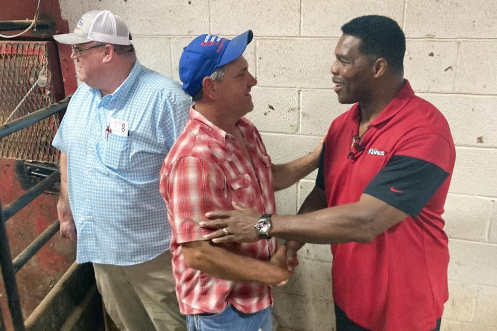 Republican U.S. Senate nominee Herschel Walker talks with a voter at a livestock auction in Athens, Ga., Wednesday, July 20, 2022, as Walker campaigns to unseat Democratic Sen. Raphael Warnock. (AP Photo/Bill Barrow)