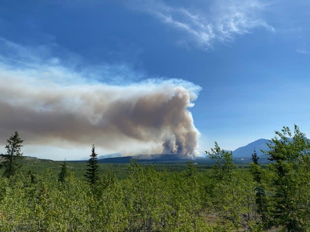 The July 2023 Takhini Bridge wildfire was human-caused and accidental, according to a report from the Yukon fire marshal’s office. (Lauren Holmes - image credit)