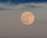 The first full moon of 2019 rises off the shore of Tenby, Pembrokeshire, Wales, Britain January 20, 2019. REUTERS/Rebecca Naden