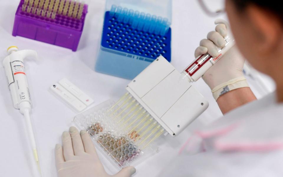 A scientist in Belo Horizonte, Brazil, works on the coronavirus vaccine being developed by Oxford University - AFP