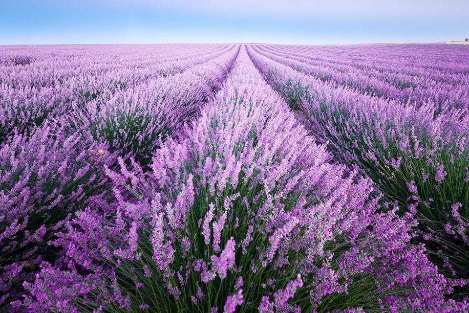 Valensole, France