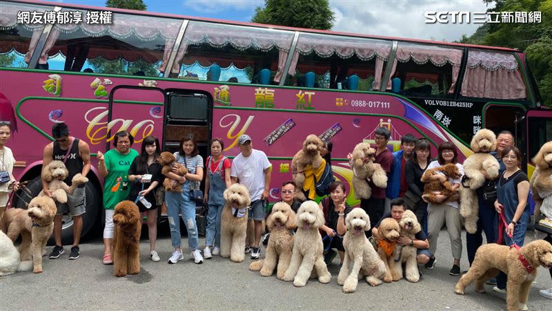 飼主們各自帶著毛小孩到溪頭旅遊。（圖／網友傅郁淳 授權）