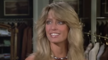 <p> Farrah Fawcett was an actress known not only for her beautiful and luxurious hair, but for her acting in the series <em>Charlie's Angels </em>from 1976 to 1981<em>. </em>She also appeared in <em>Harry O </em>and <em>The Six Million Dollar Man. </em>She unfortunately passed away in 2009 at the age of 62. </p>