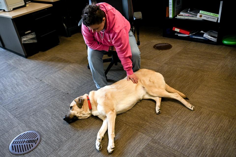 Ingham County Central Dispatch 911 operator Julie Livernois pets the office dog, Jessie, during Livernois' shift at Ingham County's 911 Center on Wednesday, April 26, 2023, in Lansing.