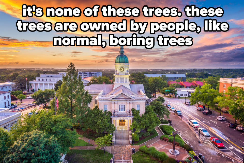 the city hall of Athens, Georgia, surrounded by trees, with caption: it's none of these trees. these trees are owned by people, like normal, boring trees