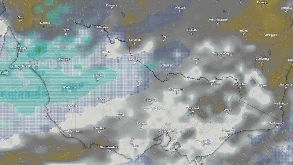 Melbourne is set to shiver through its coldest day in five years on Friday. Picture: Windy.com