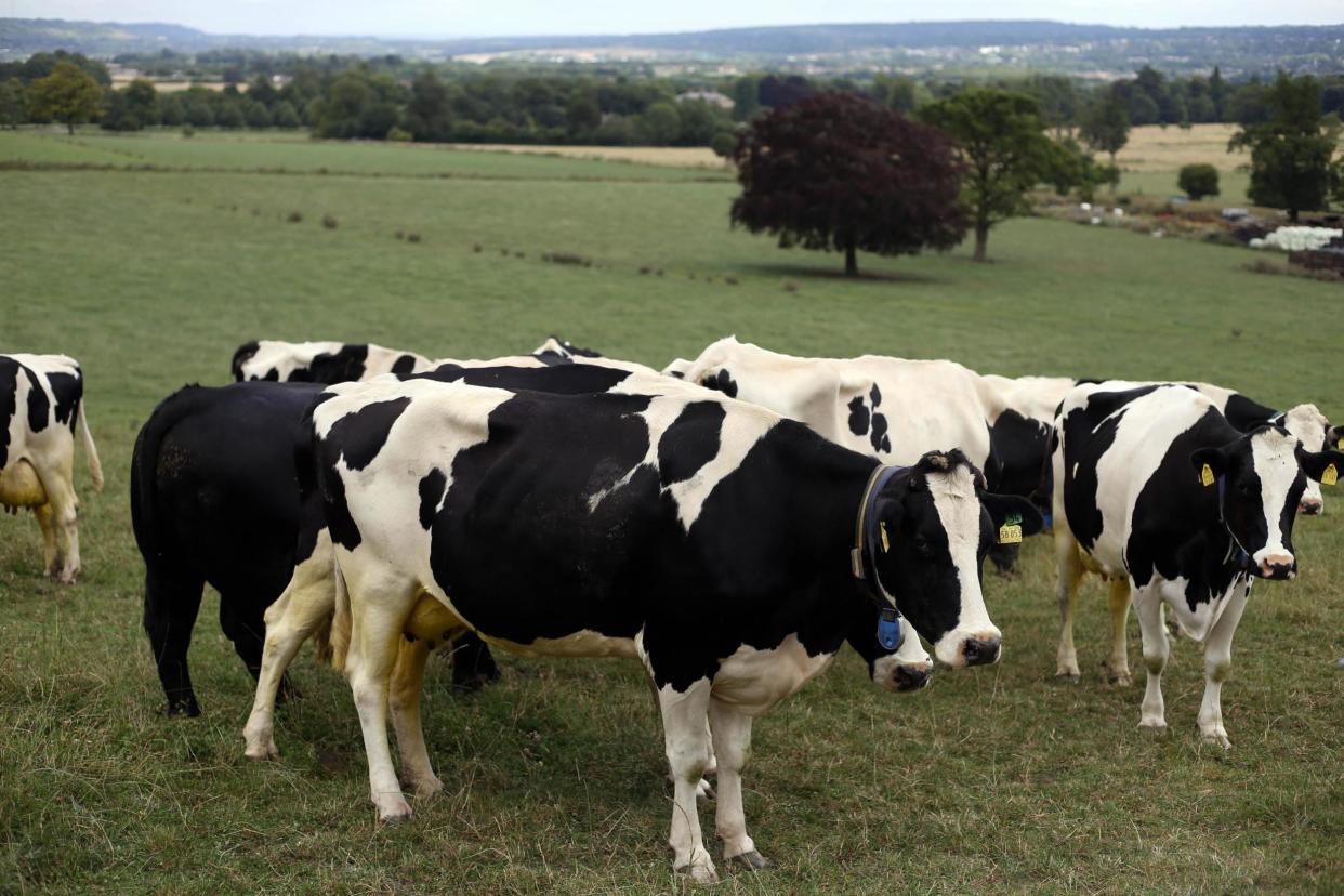 A farm in Aberdeenshire has confirmed a new case of BSE: PA Archive/PA Images