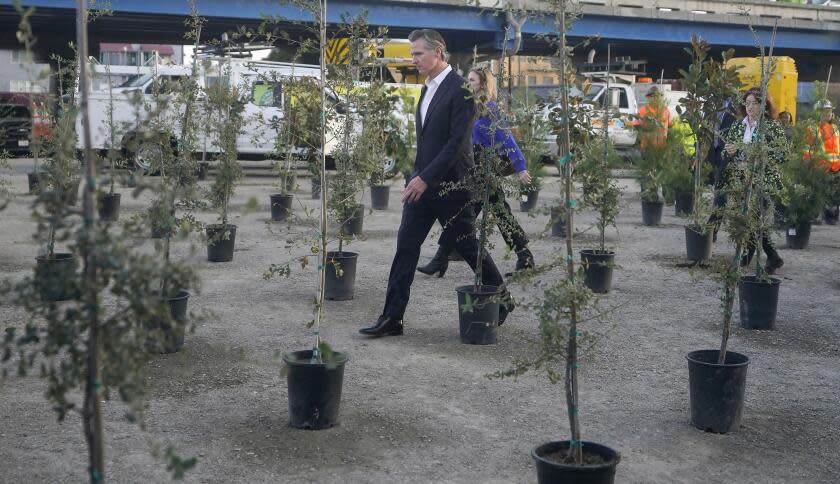 California Gov. Gavin Newsom walks between trees to be planted during a Clean California event in San Francisco, Thursday, Nov. 9, 2023. (AP Photo/Jeff Chiu)