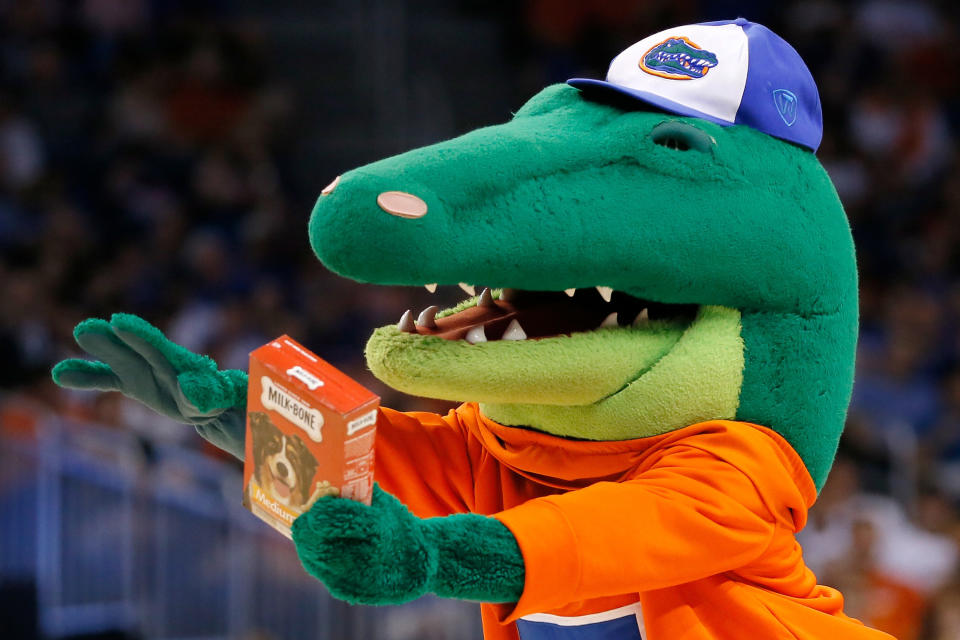 ORLANDO, FL - MARCH 20:  The Florida Gators mascot holds a pack of Milk-Bone dog treats for the Albany Great Danes mascot during the second round of the 2014 NCAA Men's Basketball Tournament at Amway Center on March 20, 2014 in Orlando, Florida.  (Photo by Kevin C. Cox/Getty Images)