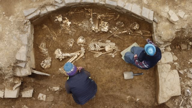 Archaeologists unearth bones.