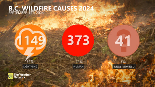 BC Wildfire Causes Through Sept 1 2024