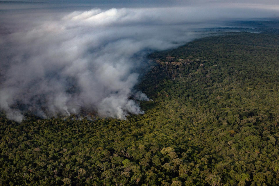 Los incendios en la selva amazónica, como este en el estado brasileño de Mato Grosso, provocaron indignación mundial hace dos años. (Victor Moriyama / The New York Times).