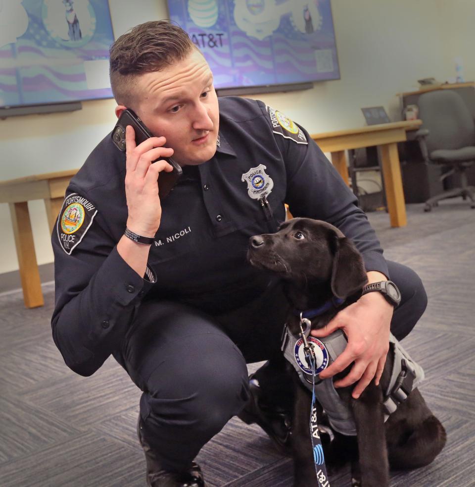 The Portsmouth Police Department has partnered with Hero Pups, a Stratham non-profit that partners support dogs with veterans and first responders, to bring in Mason, a a four-month-old Labrador retriever, as a comfort dog. Officer Mike Nicoli is Mason's primary handler.